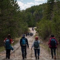 4 personen die wandelen door de natuur